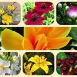 Dịch vụ thành lập văn phòng đại diện tại Vũng Tàu 6 Muốn thành lập văn phòng đại diện tại Vũng Tàu