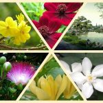 Dịch vụ thành lập văn phòng đại diện tại Yên Bái 6 Muốn thành lập văn phòng đại diện tại Yên Bái
