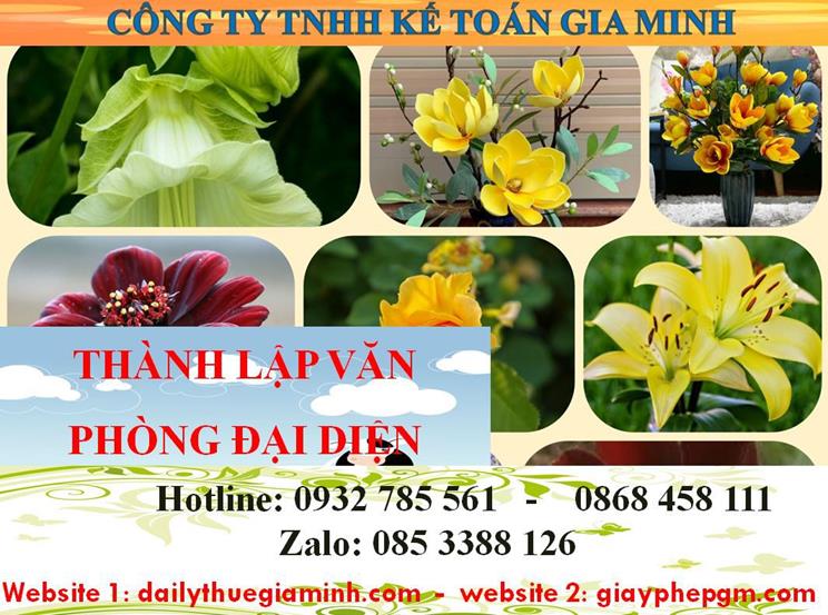 Dịch vụ thành lập văn phòng đại diện tại Yên Bái 4 Thủ tục thành lập văn phòng đại diện tại Yên Bái