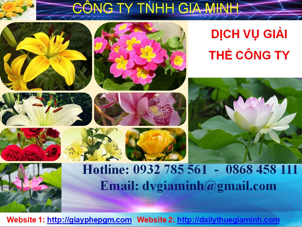 Giải thể công ty cổ phần tại An Giang 1 Thủ tục giải thể công ty cổ phần tại An Giang