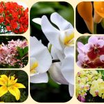 Giải thể công ty cổ phần tại An Giang 3 Muốn giải thể công ty cổ phần tại An Giang