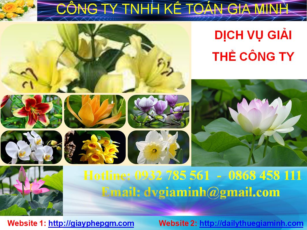 Giải thể công ty cổ phần tại Đà Nẵng 1 Thủ tục giải thể công ty cổ phần tại Đà Nẵng