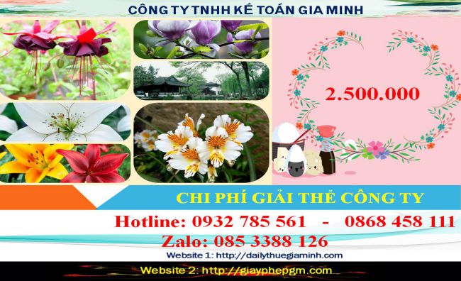 Giải thể công ty cổ phần tại Huyện Hoài Đức 2 Chi phí giải thể doanh nghiệp cổ phần tại Huyện Hoài Đức