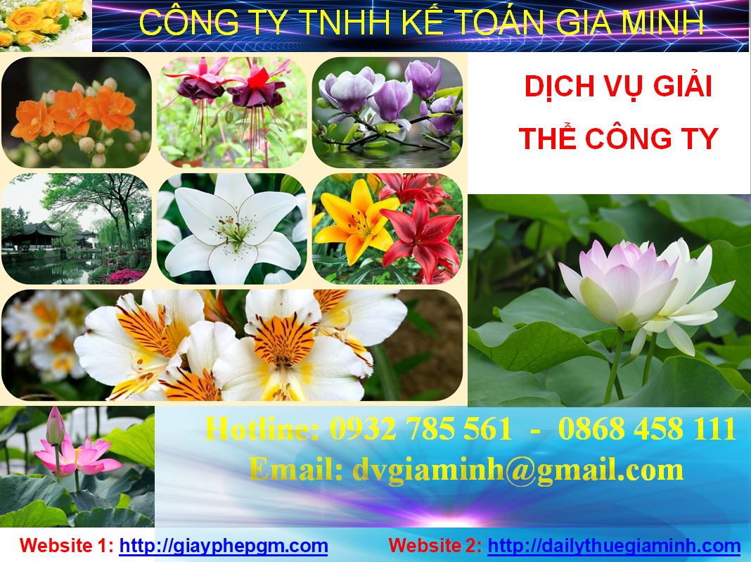 Giải thể công ty cổ phần tại Huyện Phú Giáo 1 Thủ tục giải thể công ty cổ phần tại Huyện Phú Giáo