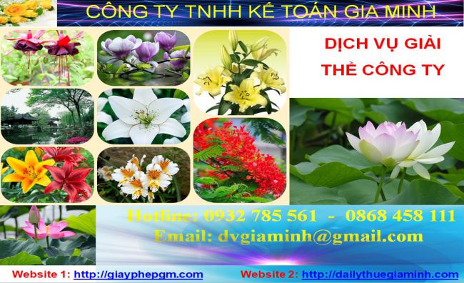 Giải thể công ty cổ phần tại huyện Thanh Oai 1 Thủ tục giải thể công ty cổ phần tại Huyện Thanh Oai