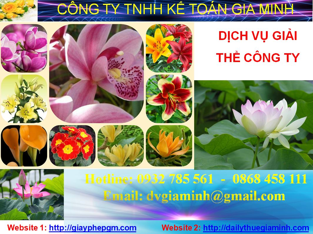 Giải thể công ty cổ phần tại Ninh Thuận 4 Thủ tục giải thể công ty cổ phần tại Ninh Thuận