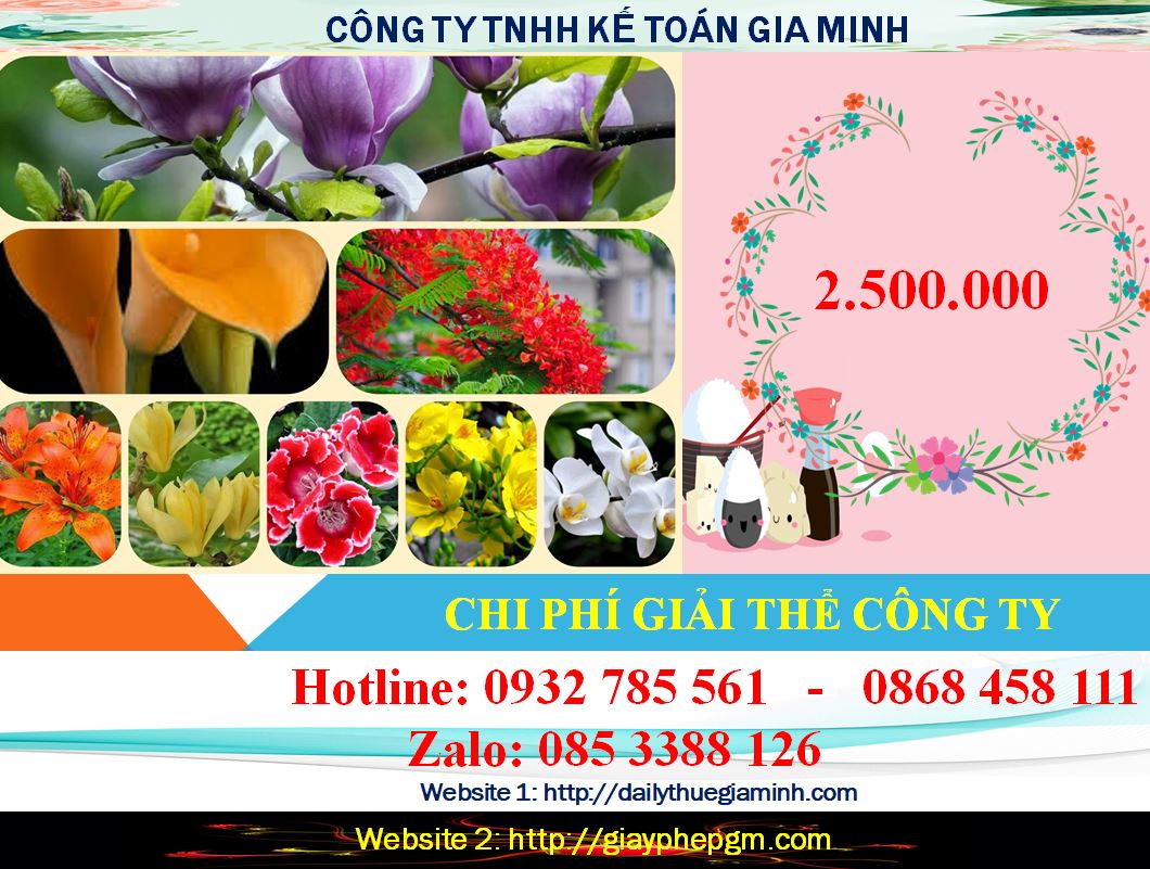 Giải thể công ty cổ phần tại Ninh Thuận 5 Chi phí giải thể doanh nghiệp cổ phần tại Ninh Thuận