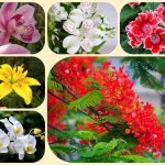 Giải thể công ty cổ phần tại Quận 3 3 Muốn giải thể công ty cổ phần tại Quận 3