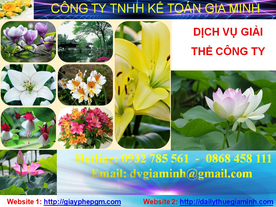 Giải thể công ty cổ phần tại Quận 3 1 Thủ tục giải thể công ty cổ phần tại Quận 3