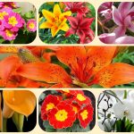 Giải thể công ty cổ phần tại Quận 8 3 Muốn giải thể công ty cổ phần tại Quận 8