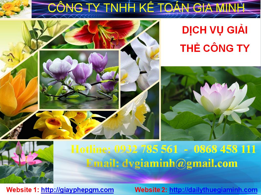 Giải thể công ty cổ phần tại Quận 8 1 Thủ tục giải thể công ty cổ phần