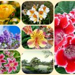Giải thể công ty cổ phần tại Quận Hoàn Kiếm 3 Muốn giải thể công ty cổ phần tại Quận Hoàn Kiếm