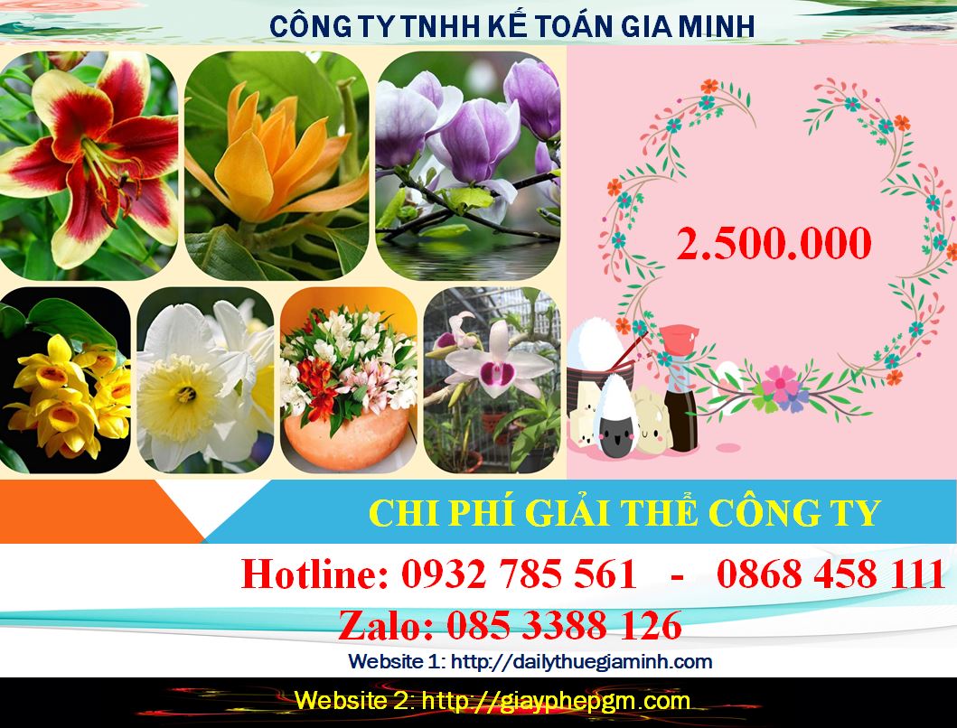 Giải thể công ty cổ phần tại Quận Hoàn Kiếm 2 Chi phí giải thể doanh nghiệp cổ phần tại Quận Hoàn Kiếm