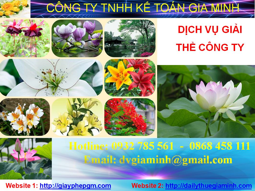 Giải thể công ty cổ phần tại Quận Hoàn Kiếm 1 Thủ tục giải thể công ty cổ phần tại Quận Hoàn Kiếm