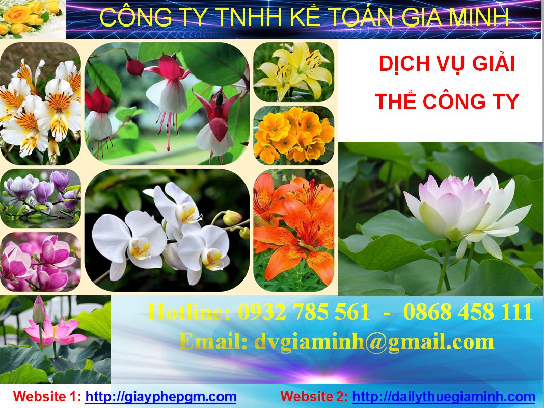 Giải thể công ty cổ phần tại Tiền Giang 1 Thủ tục giải thể doanh nghiệp cổ phần tại Tiền Giang