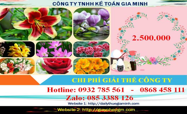 Giải thể công ty cổ phần tại Tiền Giang 2 Chi phí giải thể doanh nghiệp cổ phần tại Tiền Giang