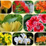 Giải thể công ty cổ phần tại Tiền Giang 3 Muốn giải thể công ty cổ phần tại Tiền Giang