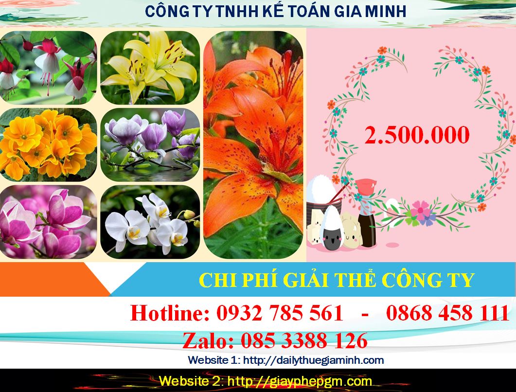 Giải thể công ty cổ phần tại TPHCM 2 Chi phí giải thể doanh nghiệp cổ phần tại TPHCM