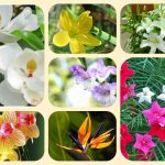 Giải thể địa điểm kinh doanh tại Huyện Sóc Sơn 6 Muốn giải thể địa điểm kinh doanh tại Huyện Sóc Sơn