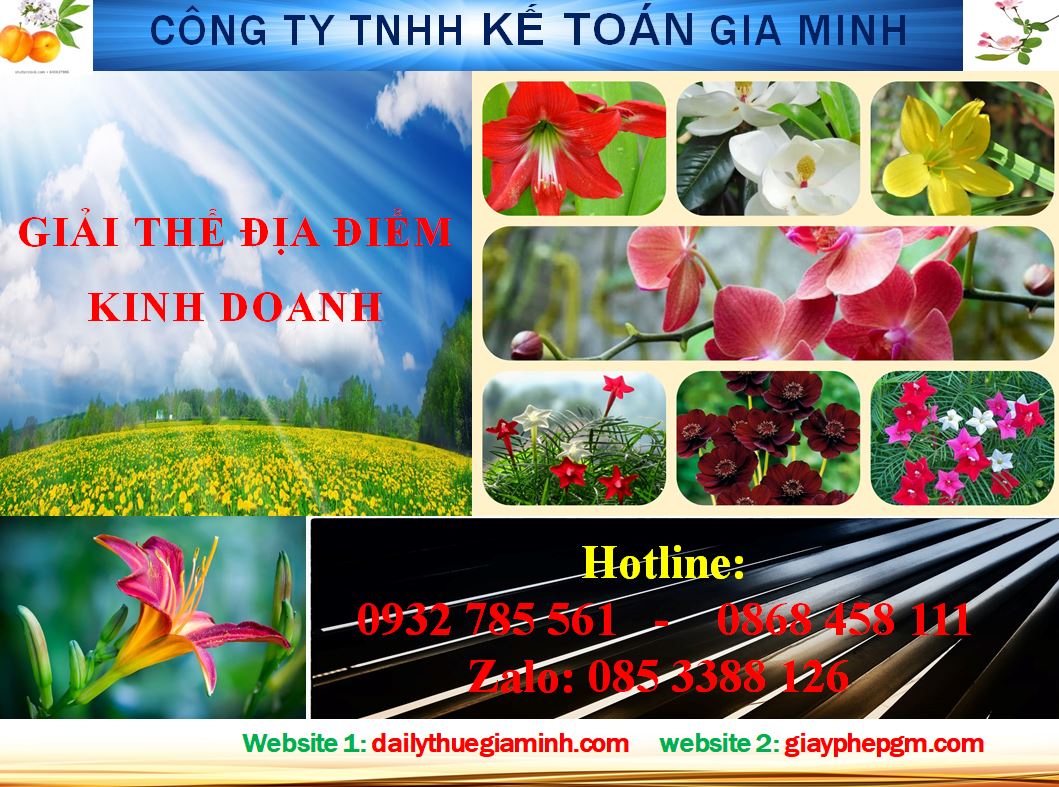 Giải thể địa điểm kinh doanh tại Huyện Sóc Sơn 4 Giải thể địa điểm kinh doanh tại Huyện Sóc Sơn