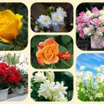 Muốn giải thể địa điểm kinh doanh tại Huyện Thương Tín