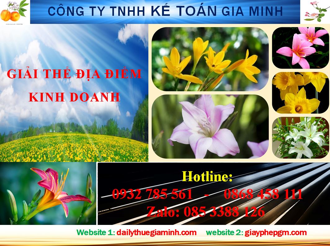 Giải thể địa điểm kinh doanh tại Huyện Thương Tín