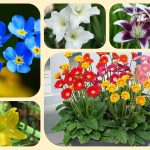 Giải thể địa điểm kinh doanh ở Kiên Giang 6 Muốn giải thể địa điểm kinh doanh ở Kiên Giang