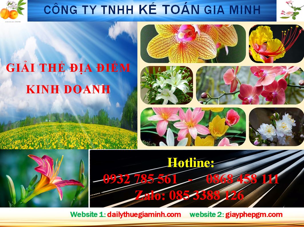 Giải thể địa điểm kinh doanh ở Kiên Giang 4 Giải thể địa điểm kinh doanh ở Kiên Giang