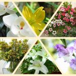 Giải thể địa điểm kinh doanh tại Quận 1 6 Muốn giải thể địa điểm kinh doanh tại Quận 1