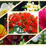 Giải thể địa điểm kinh doanh tại Quận 12 6 Muốn giải thể địa điểm kinh doanh tại Quận 12