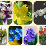 Giải thể địa điểm kinh doanh tại Quận 3 6 Giải thể địa điểm kinh doanh tại Quận 3
