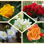 Muốn giải thể địa điểm kinh doanh tại Quận Hoàng Mai