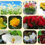 Giải thể địa điểm kinh doanh tại Quận Ninh Kiều 6 Muốn giải thể địa điểm kinh doanh tại Quận Ninh Kiều