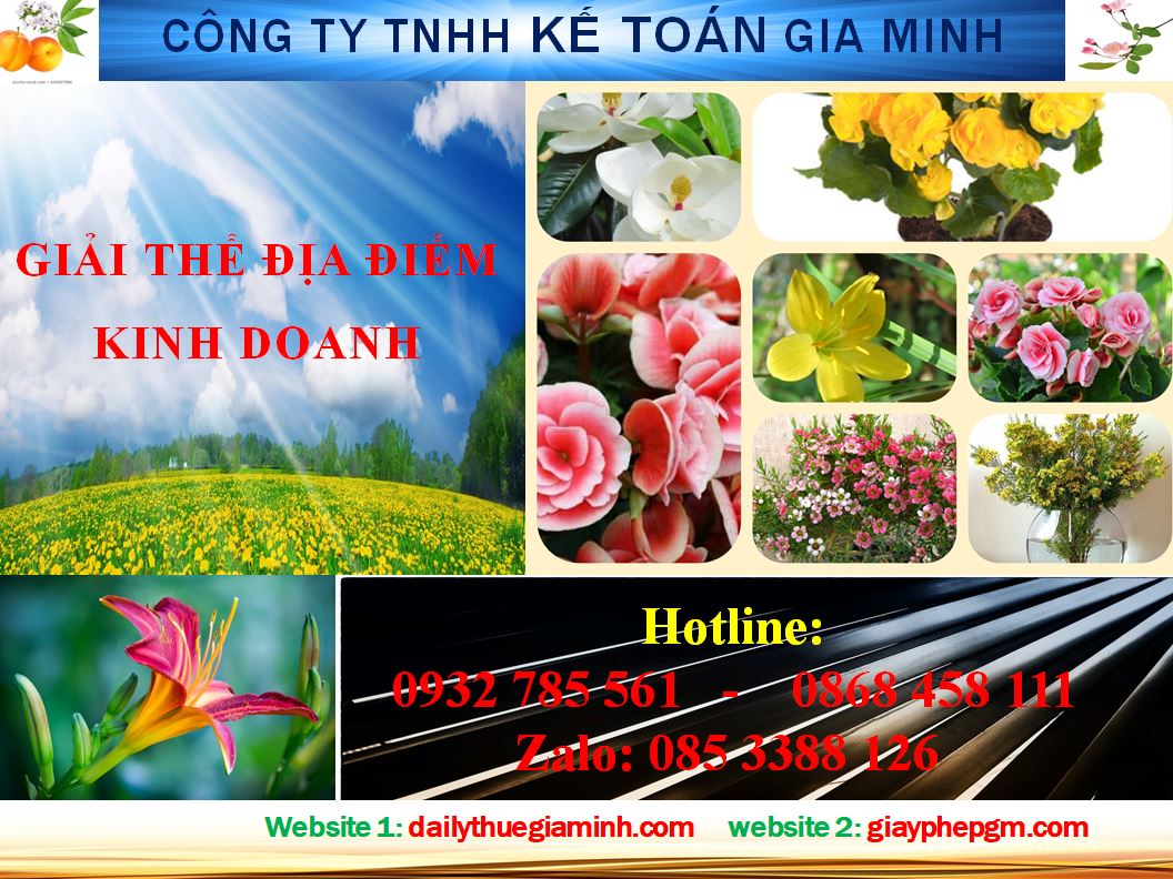 Giải thể địa điểm kinh doanh ở Tiền Giang