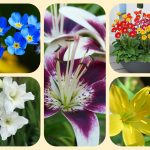 Muốn giải thể địa điểm kinh doanh ở Tiền Giang
