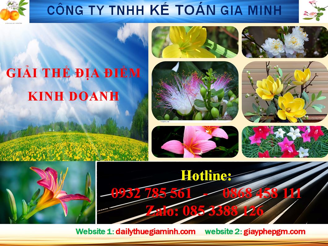 Giải thể địa điểm kinh doanh ở Vũng Tàu 4 Giải thể địa điểm kinh doanh ở Vũng Tàu