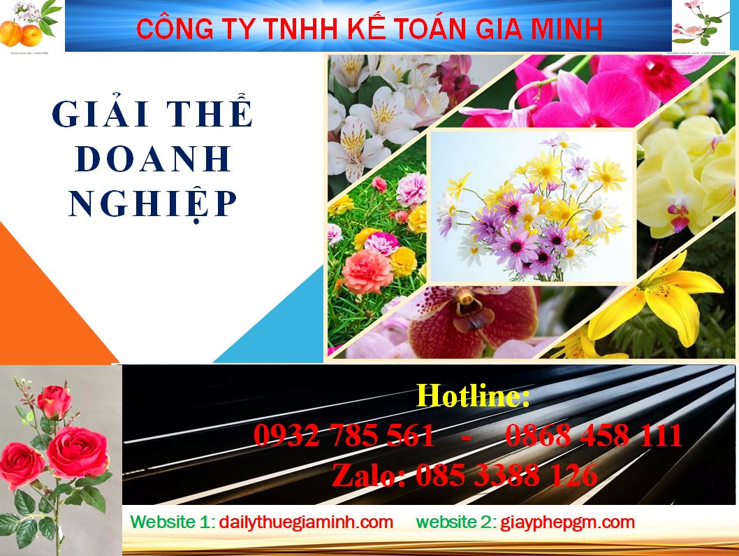 Tư vấn giải thể công ty ở Hải Phòng 4 Thủ tục tư vấn giải thể công ty ở Hải Phòng