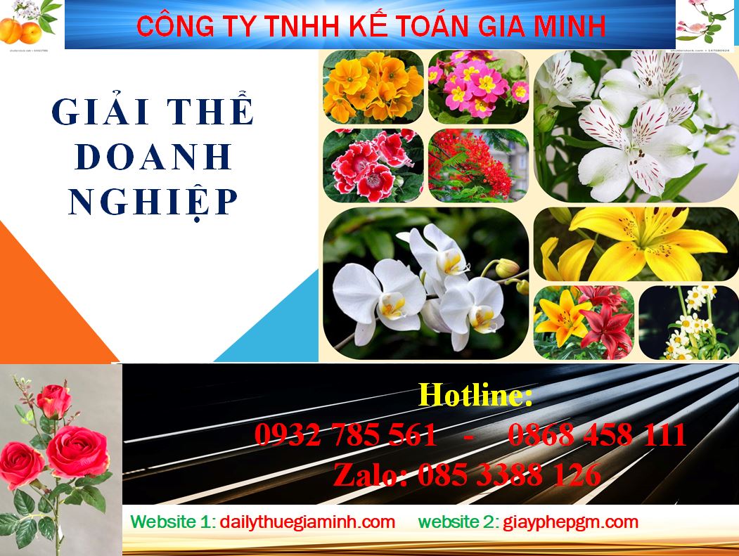 Tư vấn giải thể công ty ở huyện Cờ Đỏ 4 Thủ tục tư vấn giải thể công ty ở huyện Cờ Đỏ