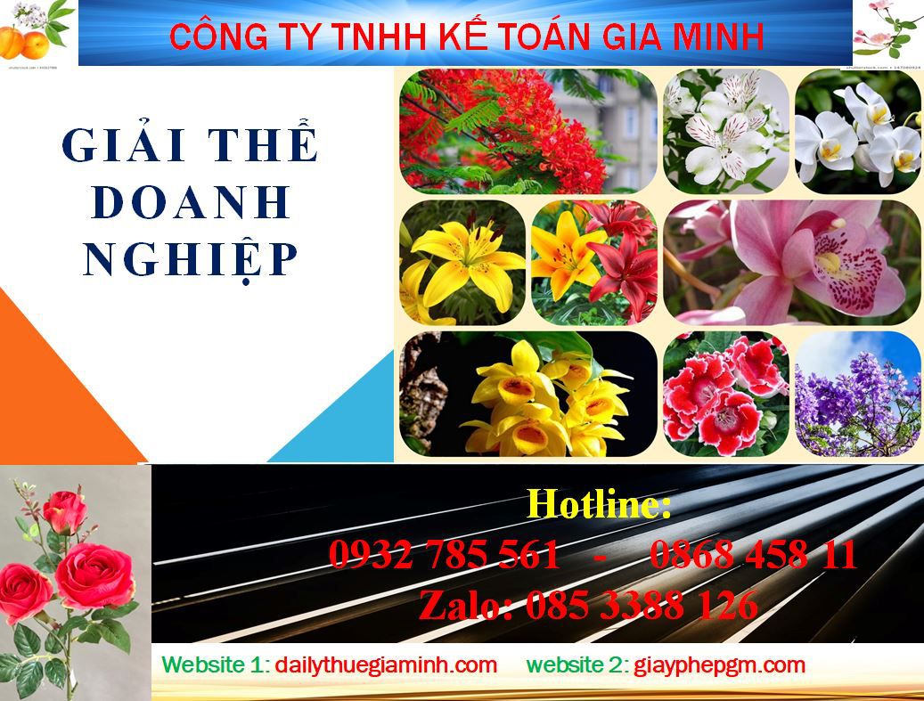 Giải thể doanh nghiệp ở Huyện Gia Lâm 1 Thủ tục giải thể doanh nghiệp ở Huyện Gia Lâm