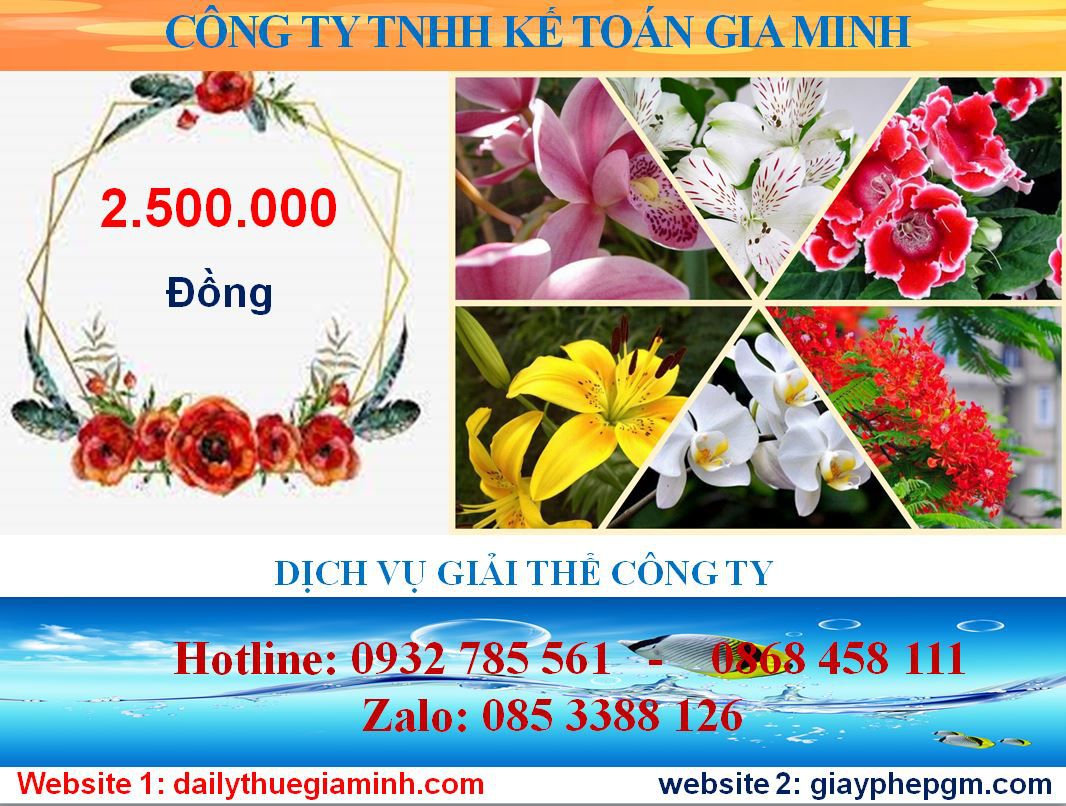Giải thể doanh nghiệp ở Huyện Gia Lâm 2 Chi phí giải thể doanh nghiệp ở Huyện Gia Lâm