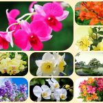 Giải thể doanh nghiệp ở Huyện Gia Lâm 3 Muốn giải thể doanh nghiệp ở Huyện Gia Lâm