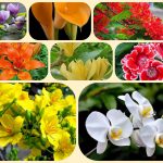Giải thể doanh nghiệp ở Huyện Thanh Oai 3 Muốn giải thể doanh nghiệp ở Huyện Thanh Oai