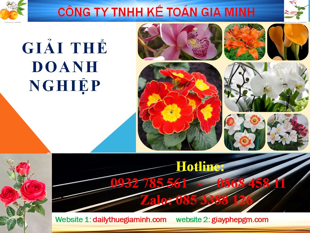 Tư vấn giải thể công ty ở Khánh Hòa 4 Thủ tục tư vấn giải thể công ty ở Khánh Hòa