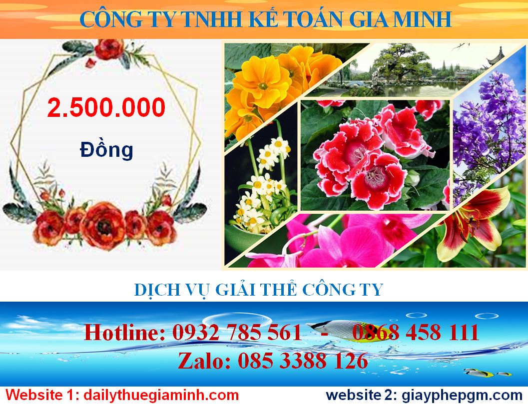 Tư vấn giải thể công ty ở Khánh Hòa 5 Chi phí tư vấn giải thể doanh nghiệp ở Khánh Hòa