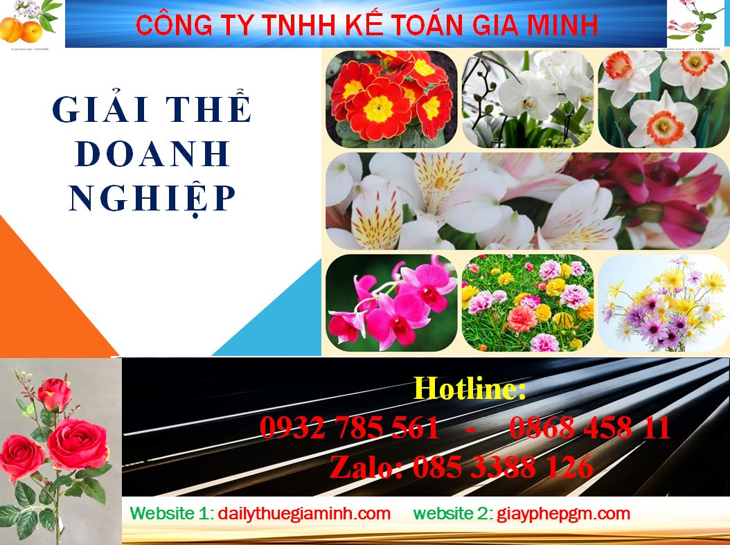 Tư vấn giải thể công ty ở Lào Cai 4 Thủ tục tư vấn giải thể công ty ở Lào Cai