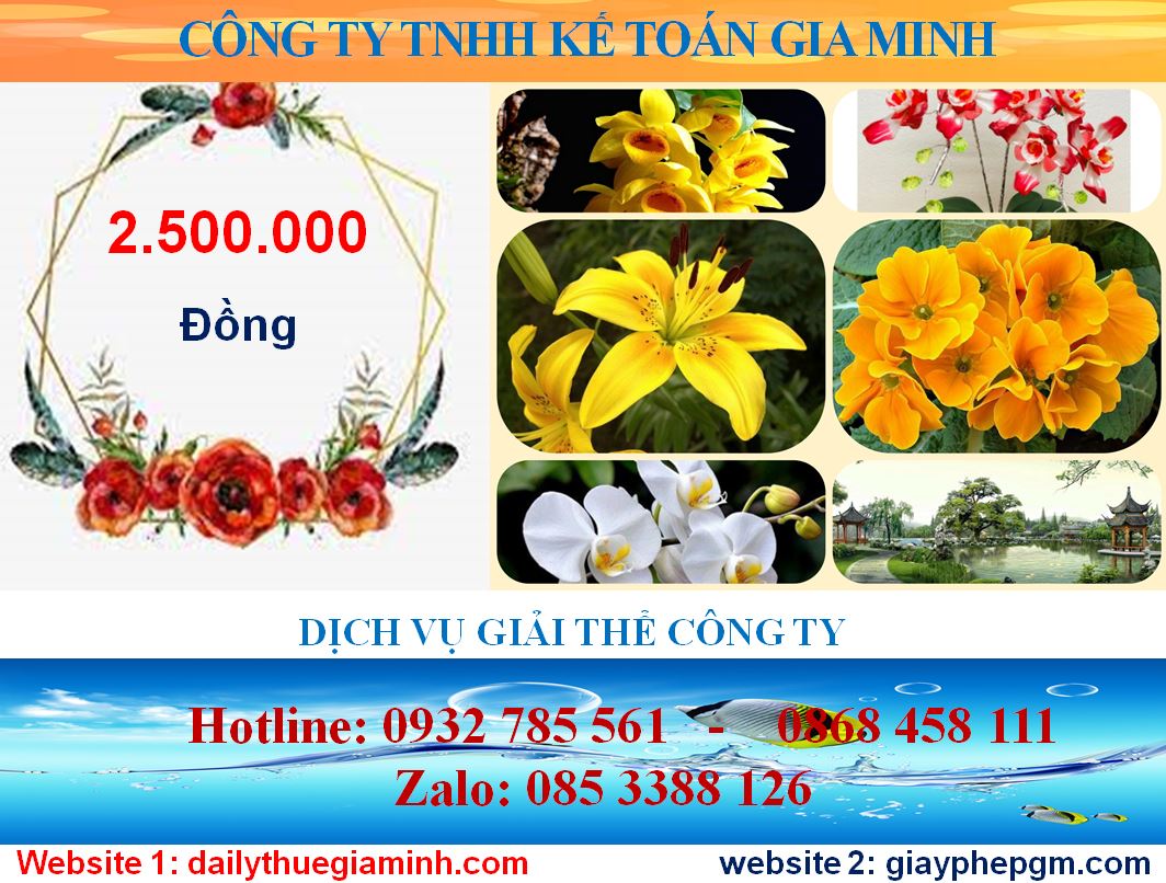 Tư vấn giải thể công ty ở Lào Cai 5 Chi phí tư vấn giải thể doanh nghiệp ở Lào Cai