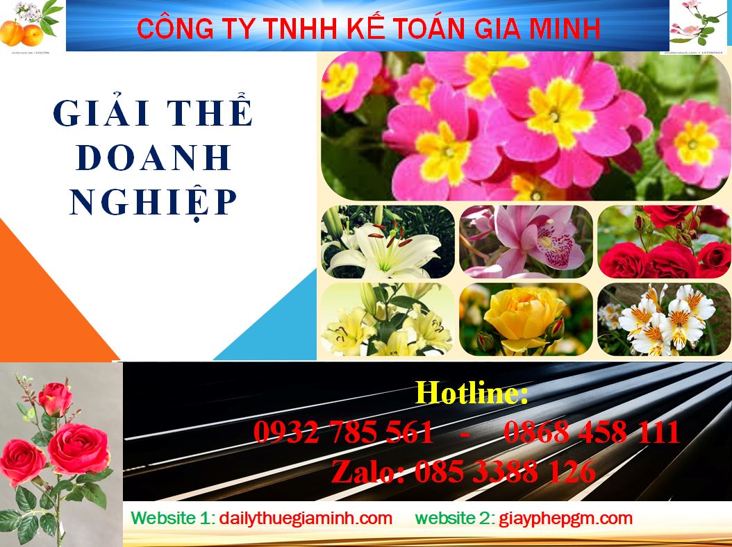  Tư vấn giải thể công ty ở Quận Bình Thạnh