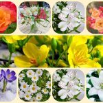 Muốn tư vấn giải thể công ty ở Quận Bình Thạnh