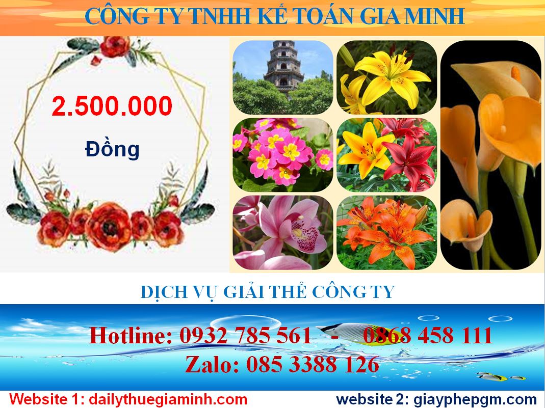 Chi phí tư vấn giải thể doanh nghiệp ở quận Cái Răng