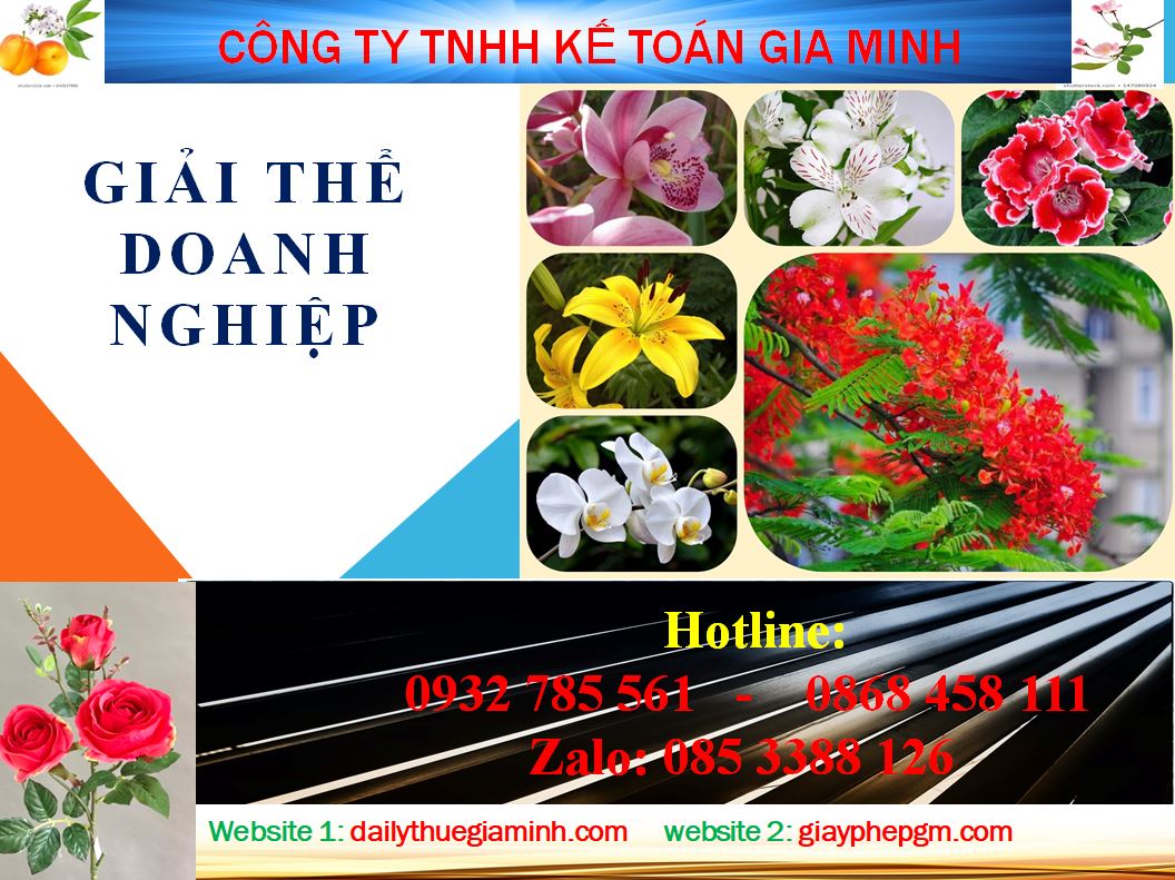 Thủ tục tư vấn giải thể công ty ở quận Cái Răng